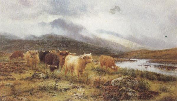 Louis bosworth hurt Highland Cattle on the Banks of a River (mk37) France oil painting art